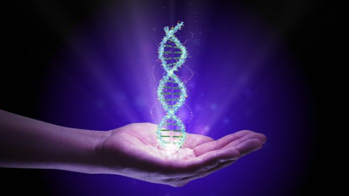 İnsan Genom Projesi | MEDİKAL TEKNİK