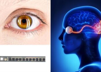 Breakthrough paves the way for next generation of vision implants